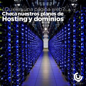 Lee más sobre el artículo Desarrollamos, entrenamos y transformamos tus proyectos al mundo digital y visible en Internet